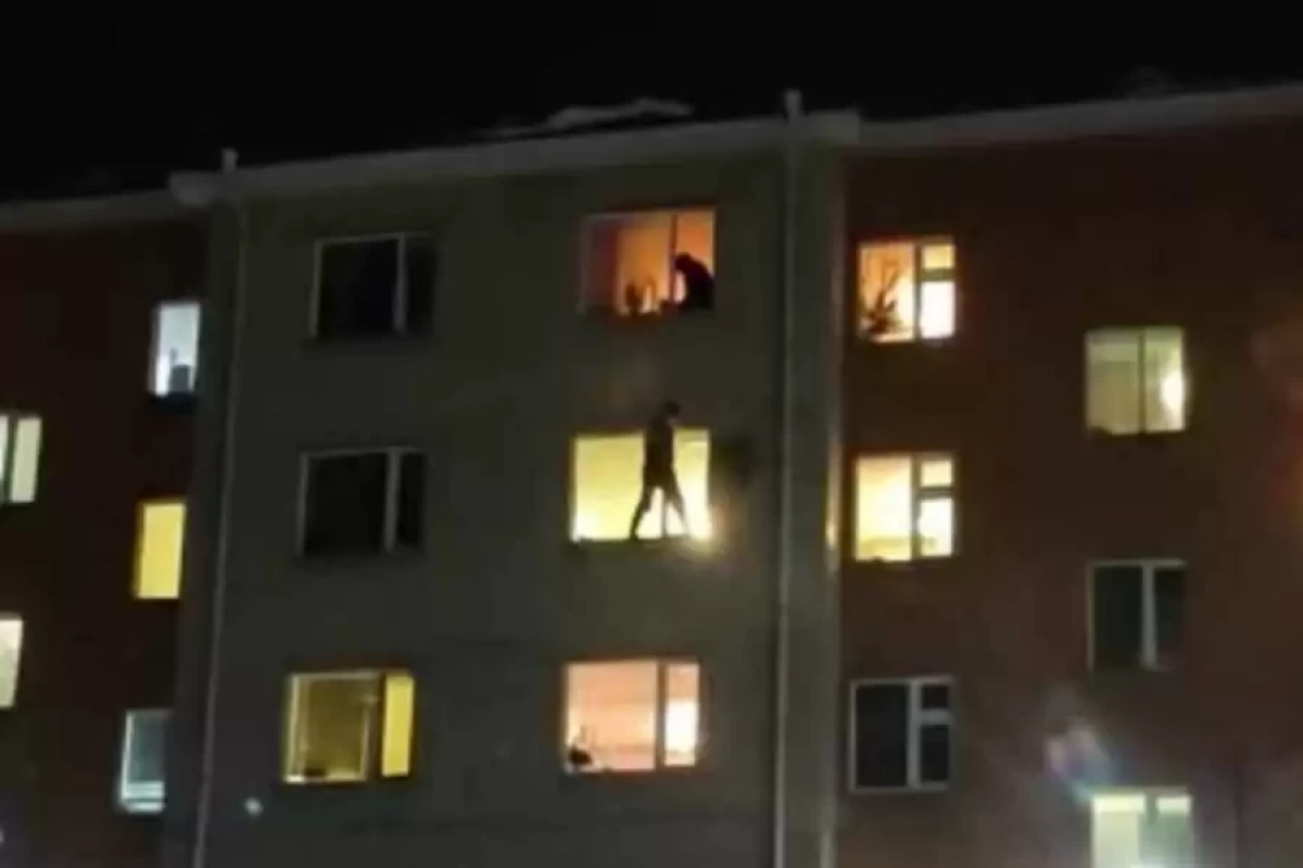 Фото: Пресс-служба ДЧС СКО