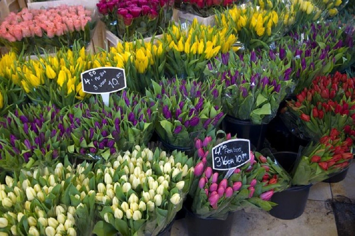 Иллюстративное фото pixabay.com