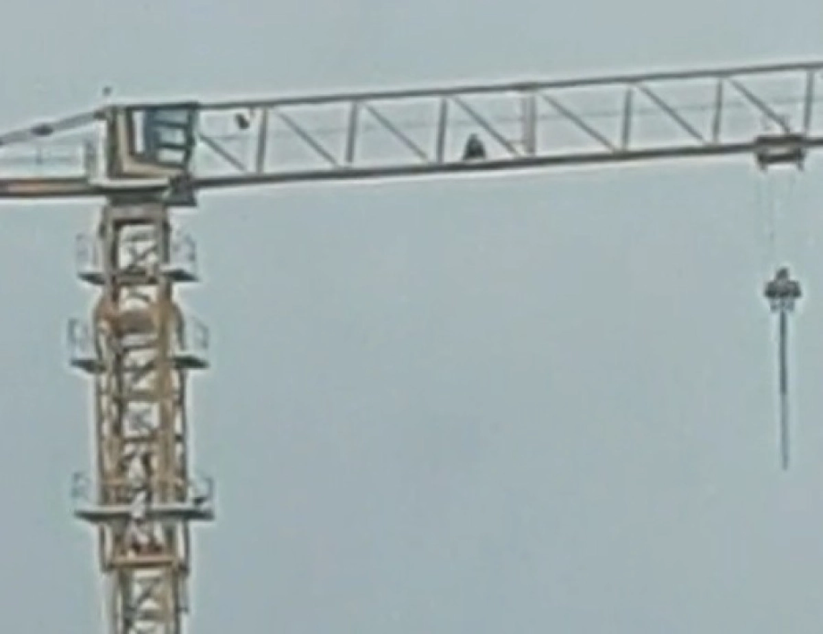 Фото: Кадр видео