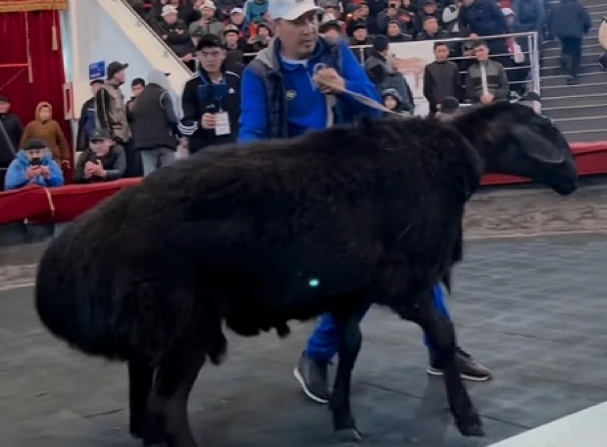 Фото: Кадр видео