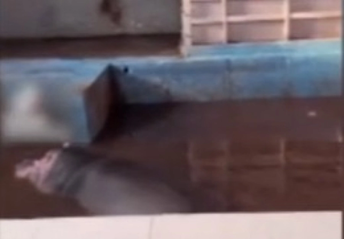 Фото: Кадр видео