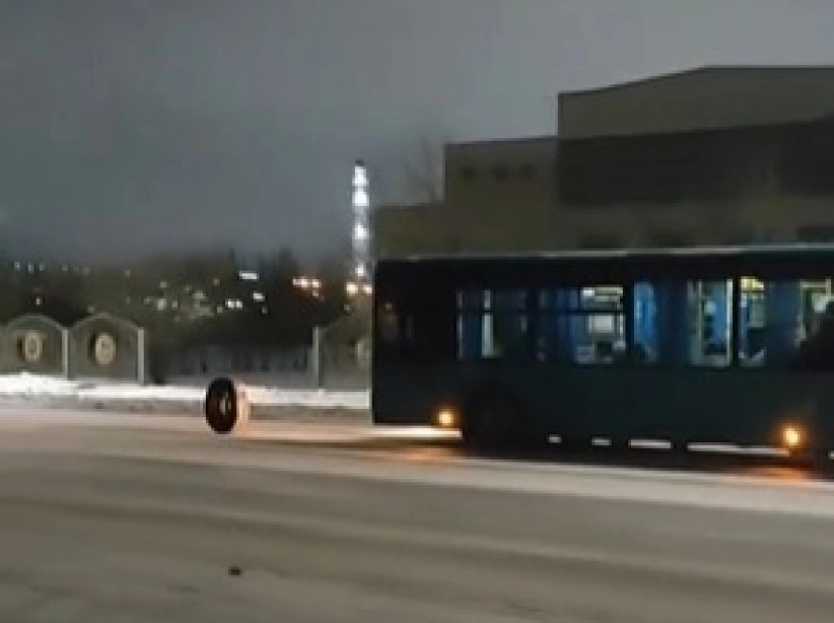 Фото: Кадр видео