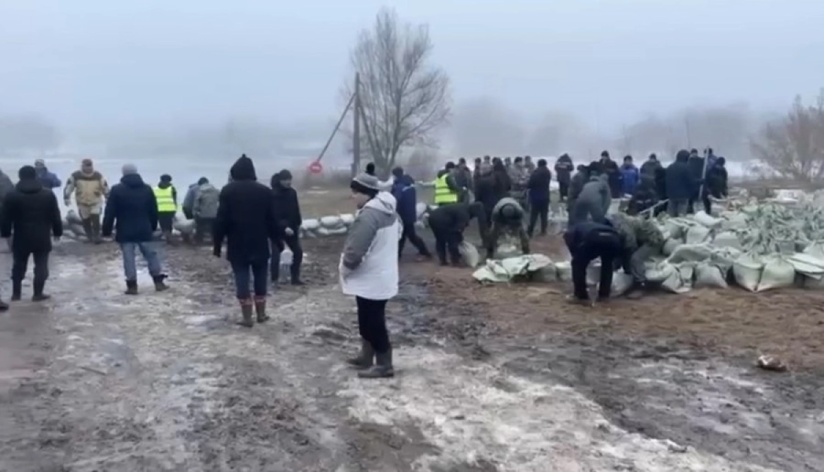 Фото: Кадр видео