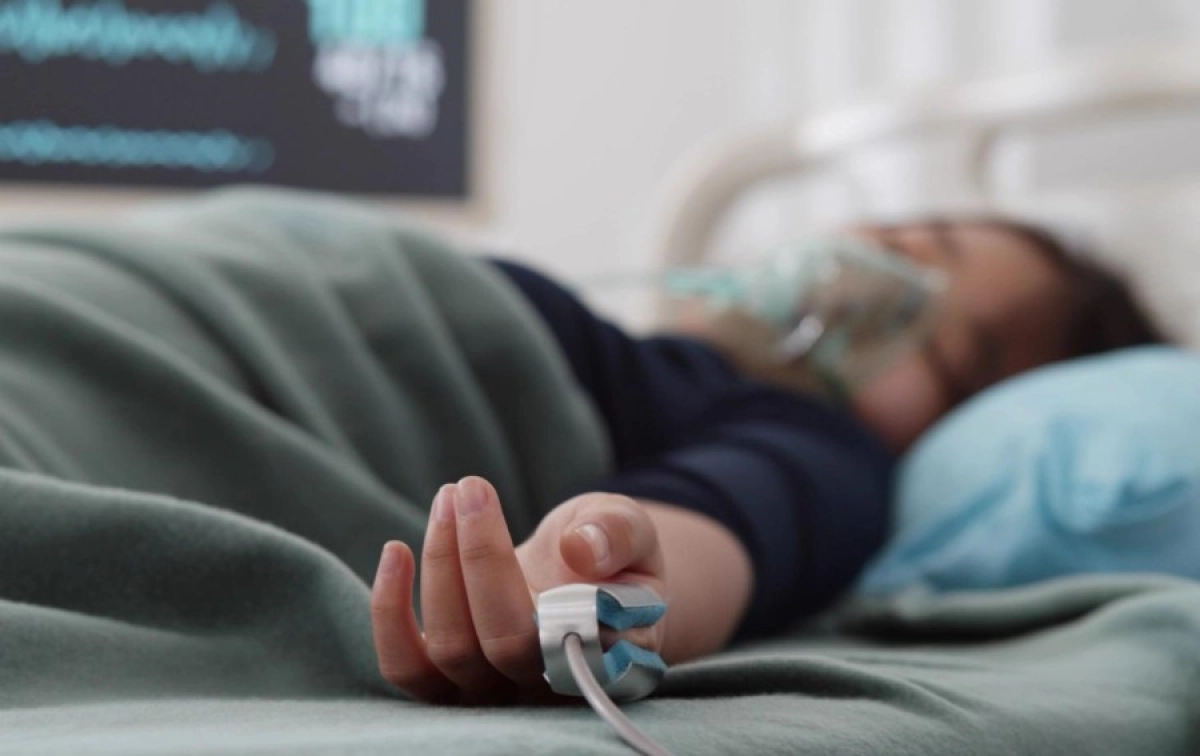 Фото: Shutterstock.com