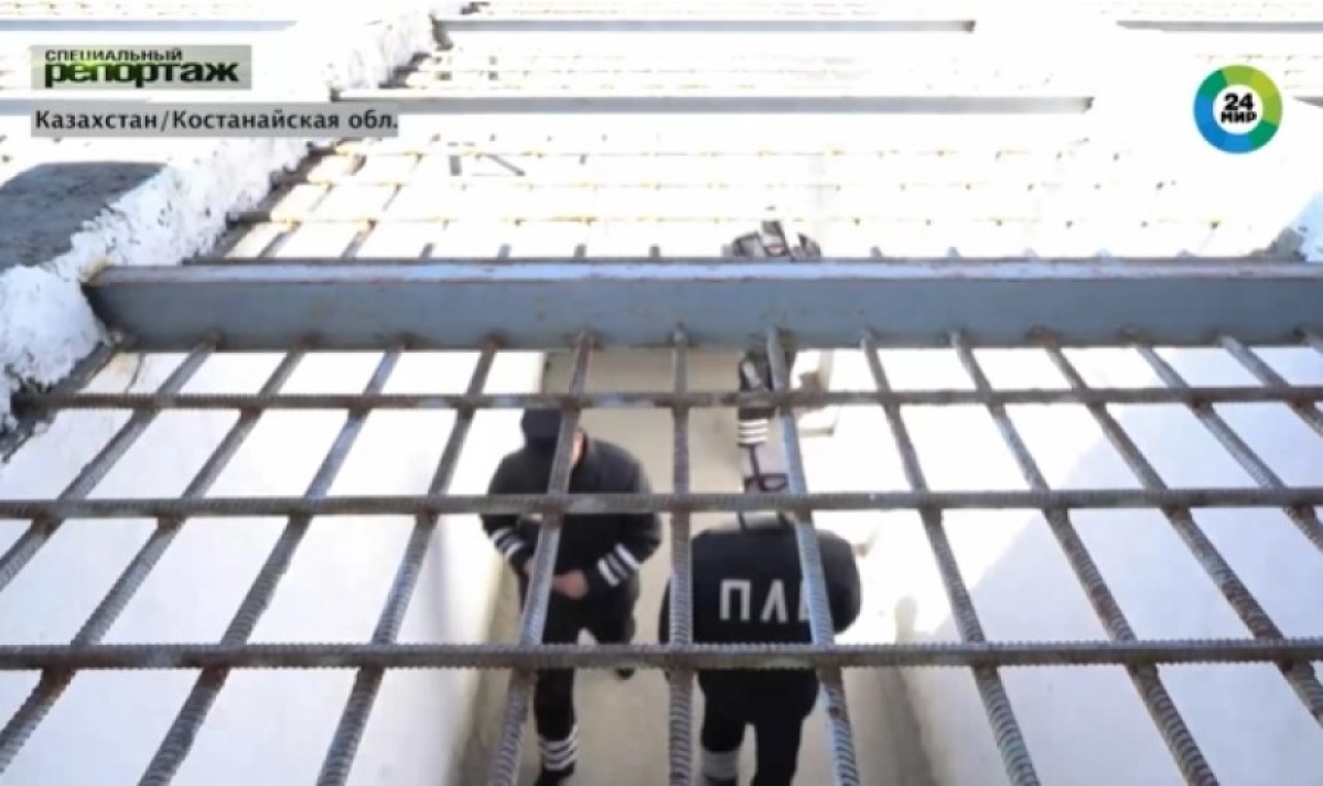 Кадр из видео