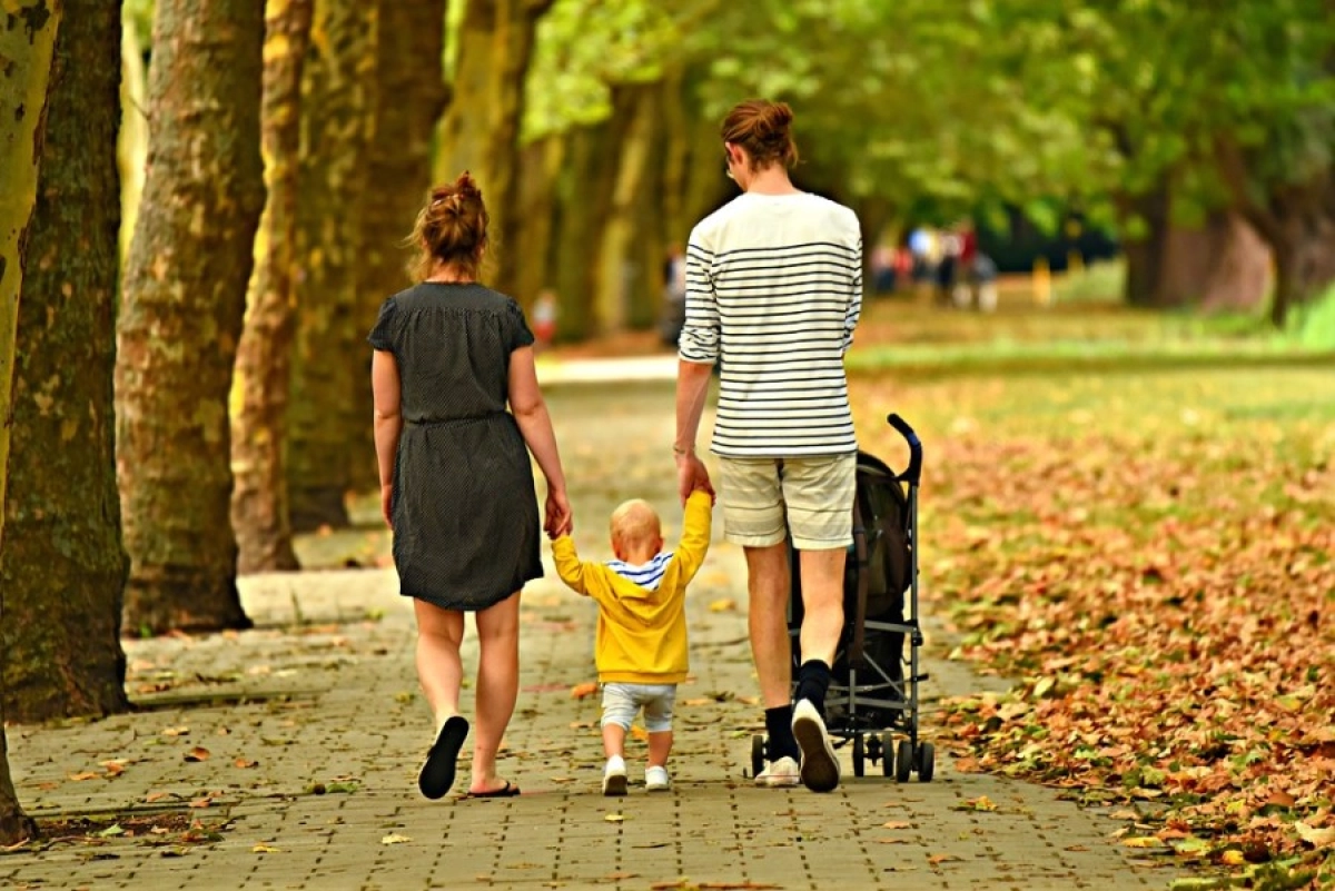 Фото: pixabay