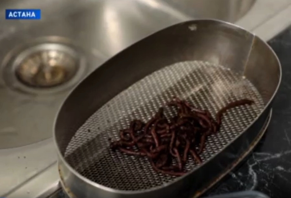 Фото: Кадр видео