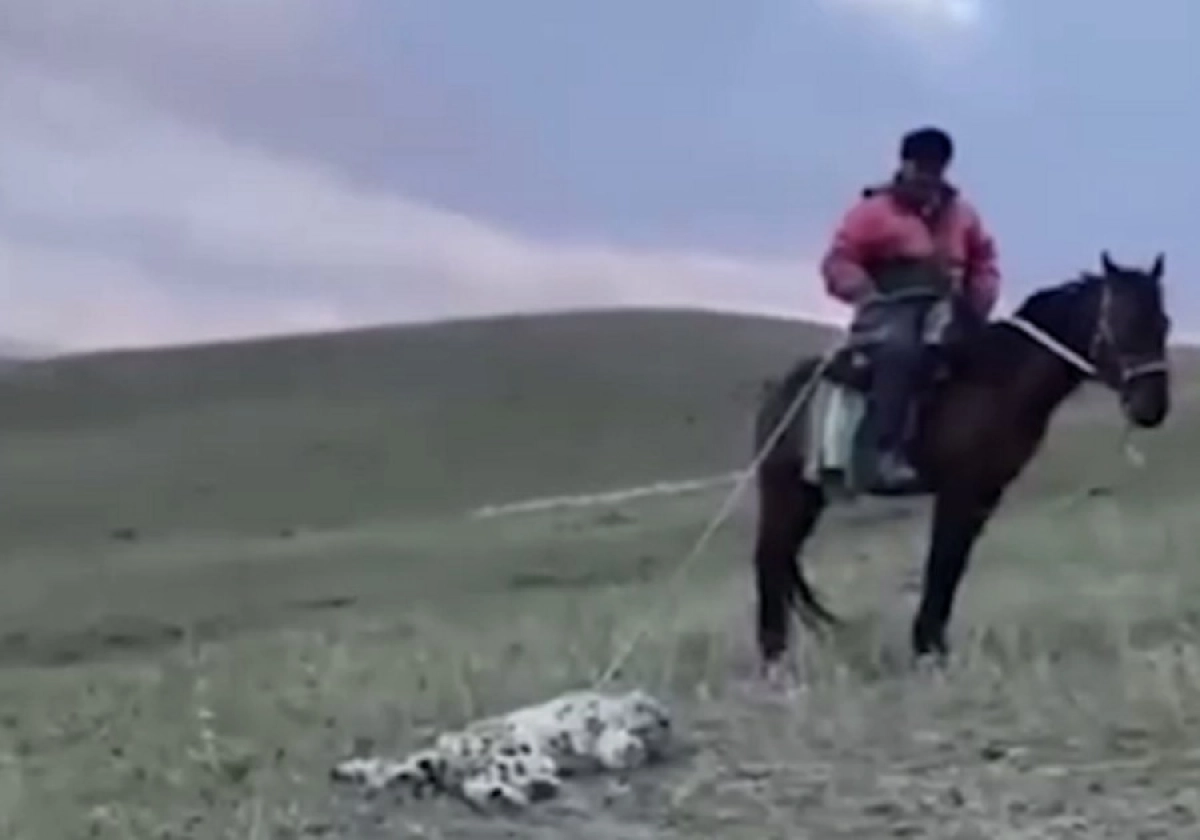 Кадр из видео