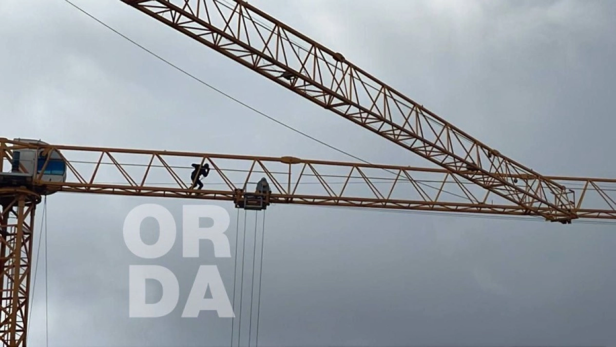 Фото: Orda
