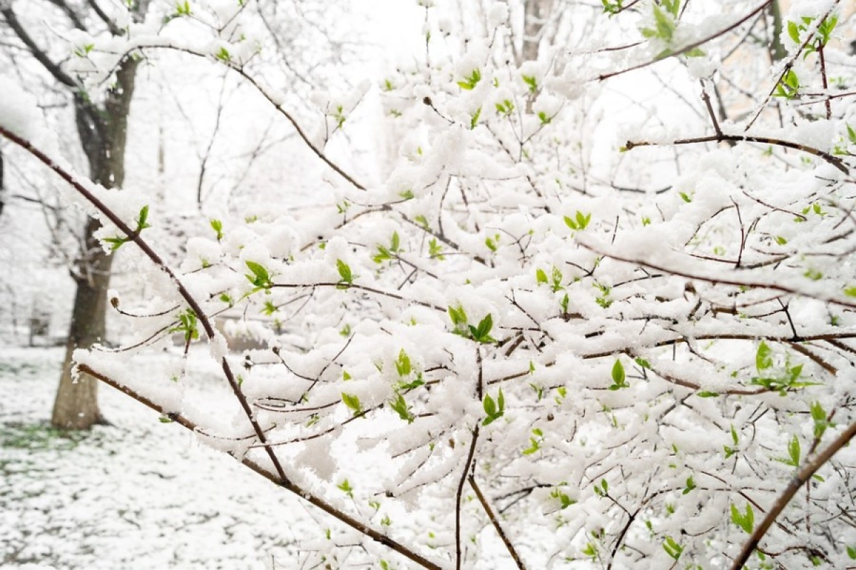 Фото: pixabay.com