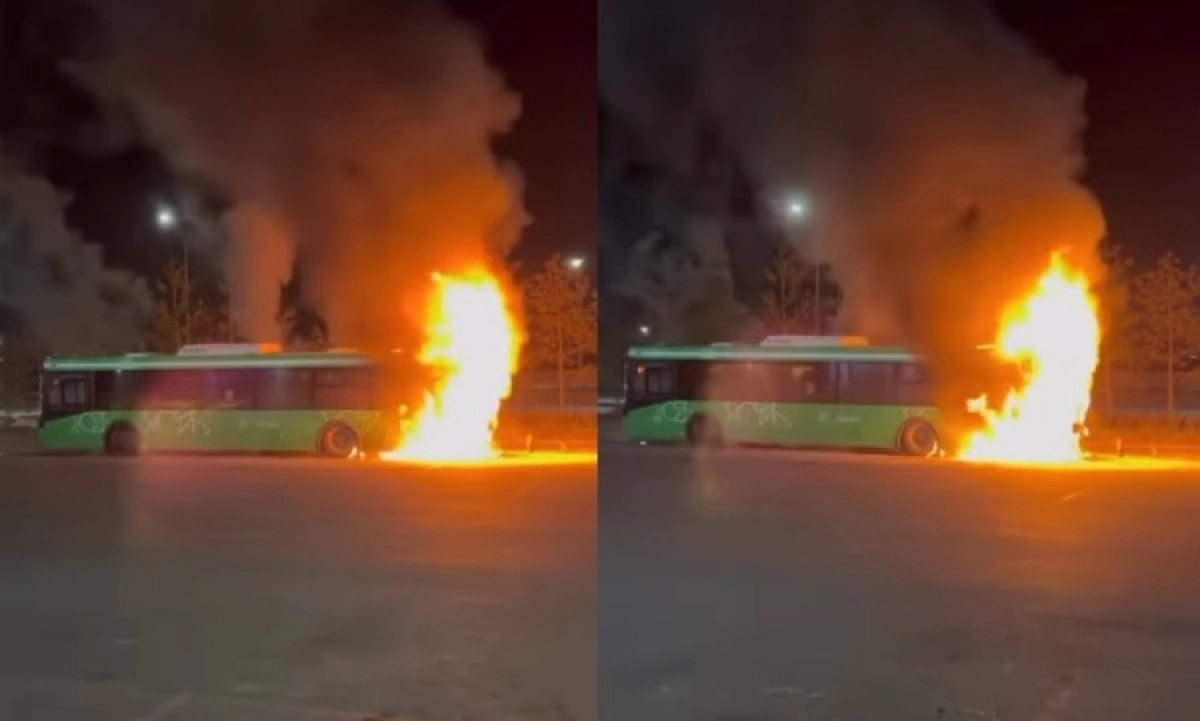 кадр из видео