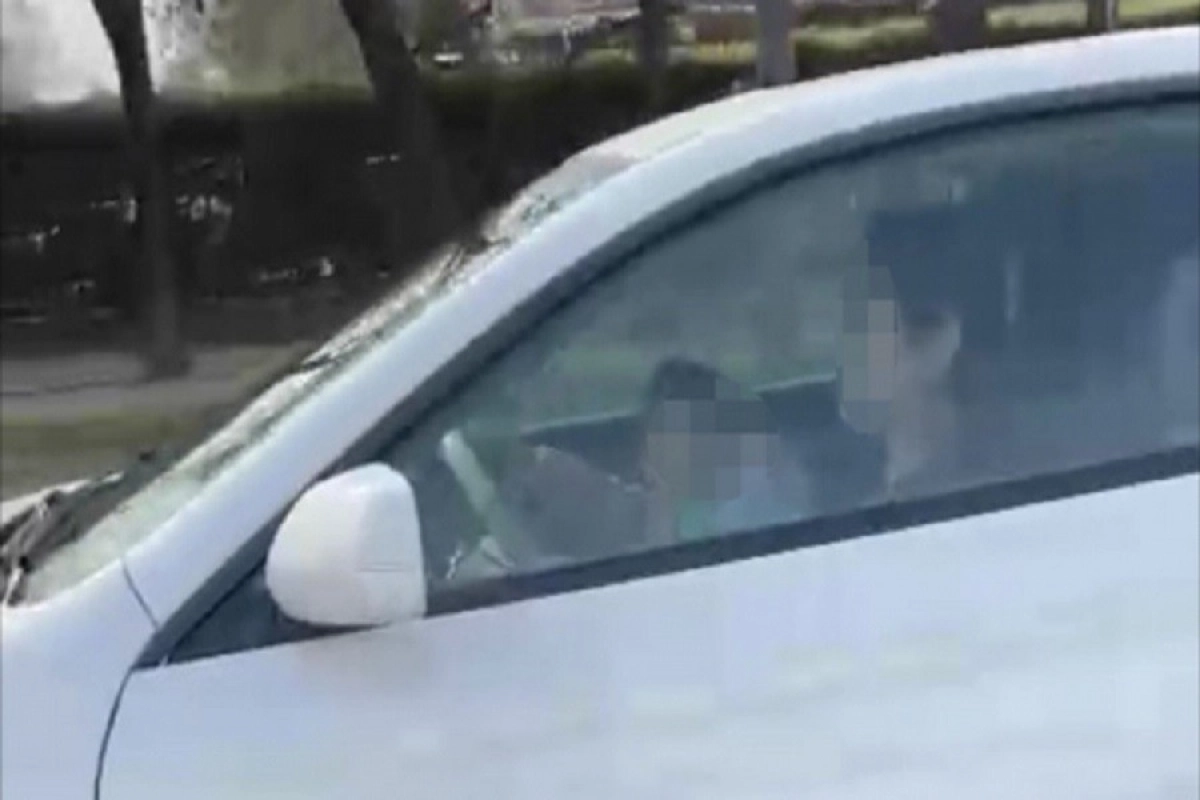 Фото: скриншот видео