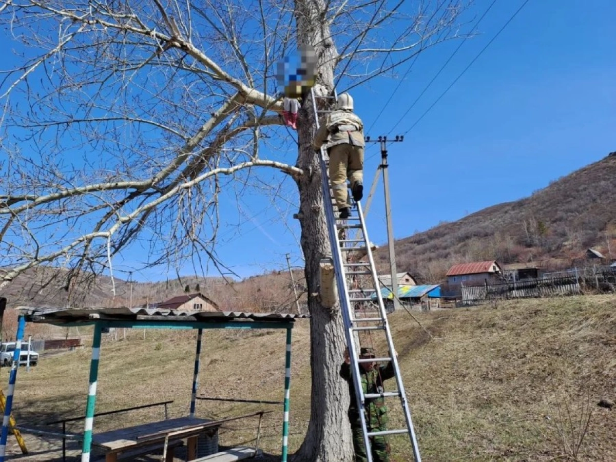 Фото: пресс-служба ДЧС ВКО