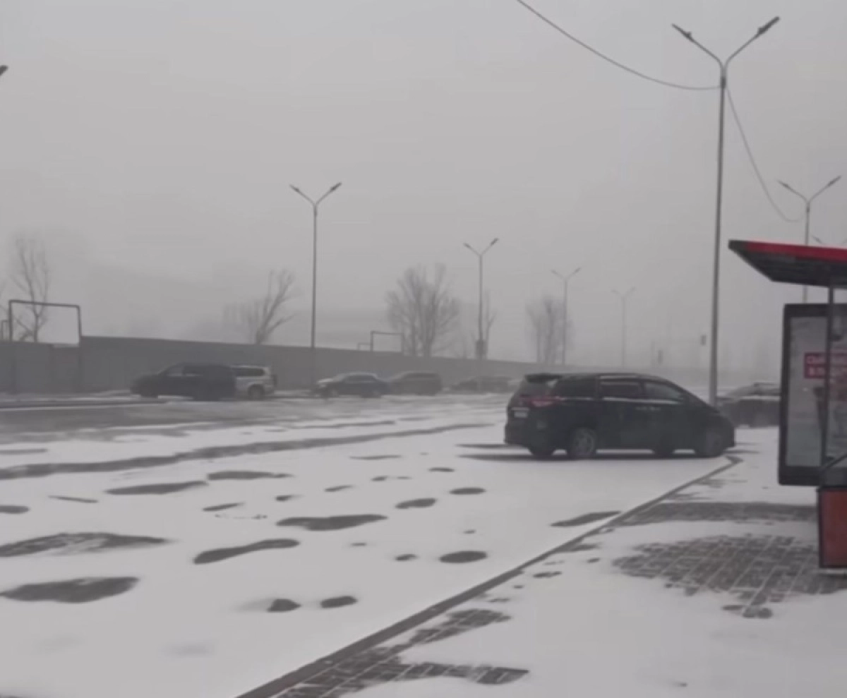 Фото: кадр из видео