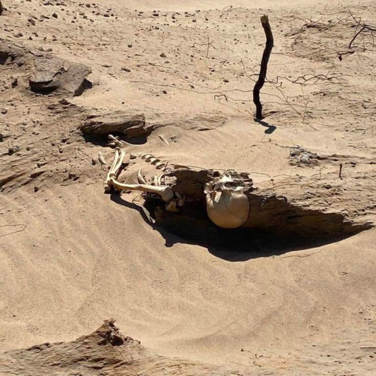 Фото: Ляззат Бактибаева, Facebook