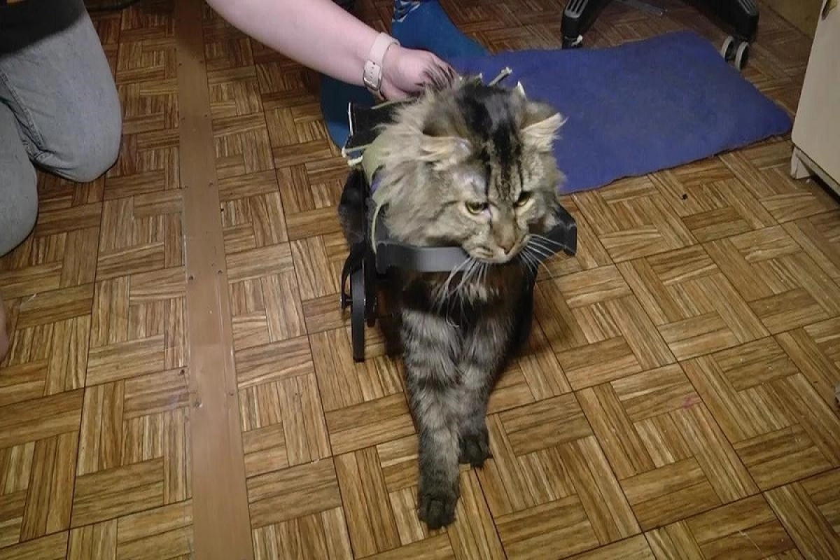 Фото: astanatv.kz