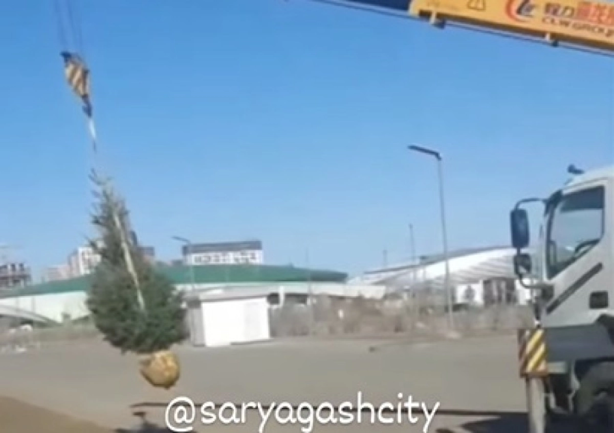 Фото: Кадр видео