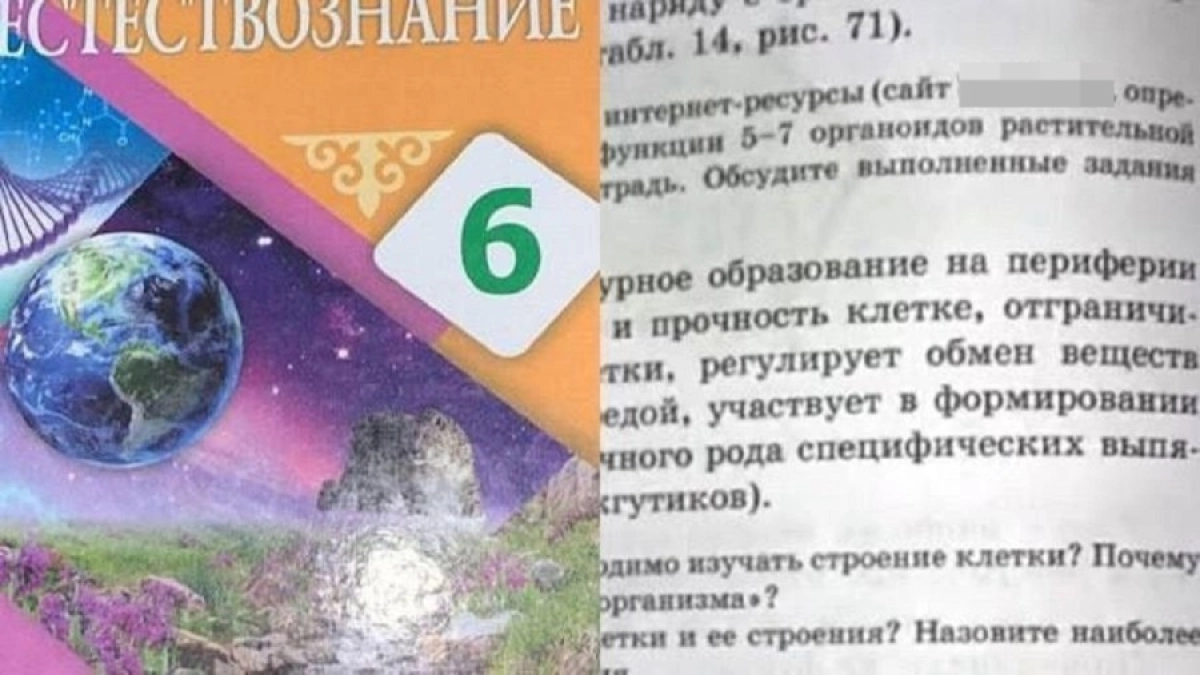 Фото: соцсети