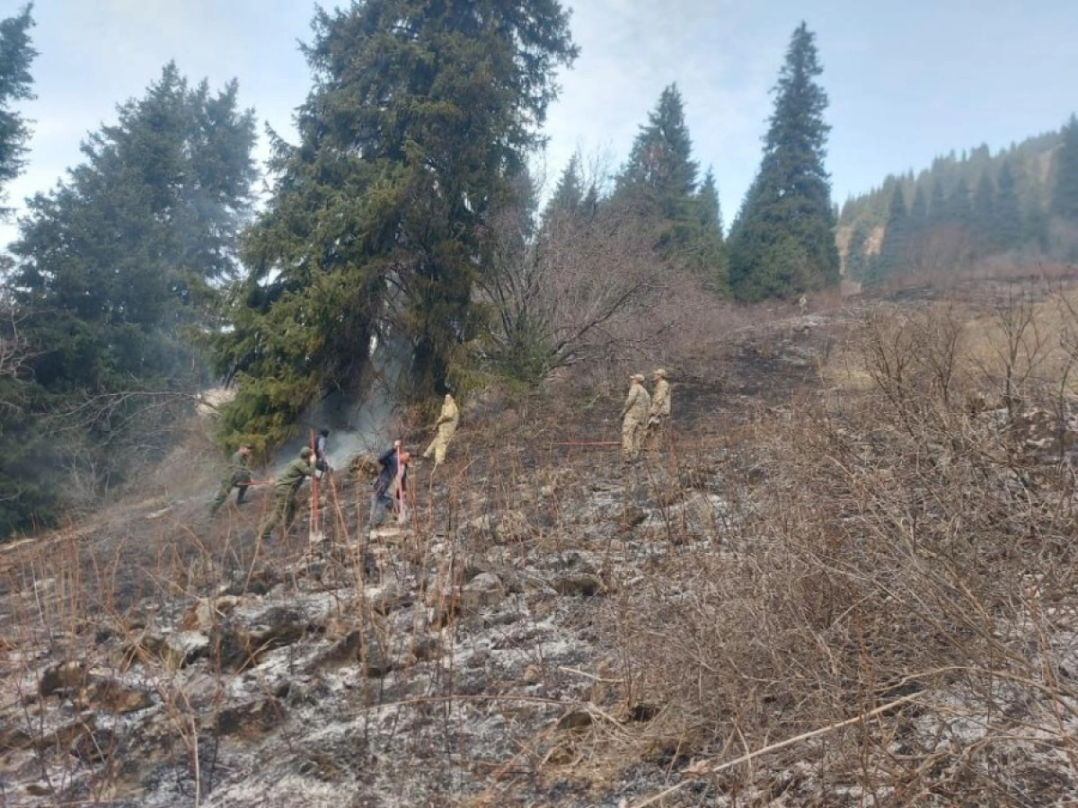 Фото: МЧС РК