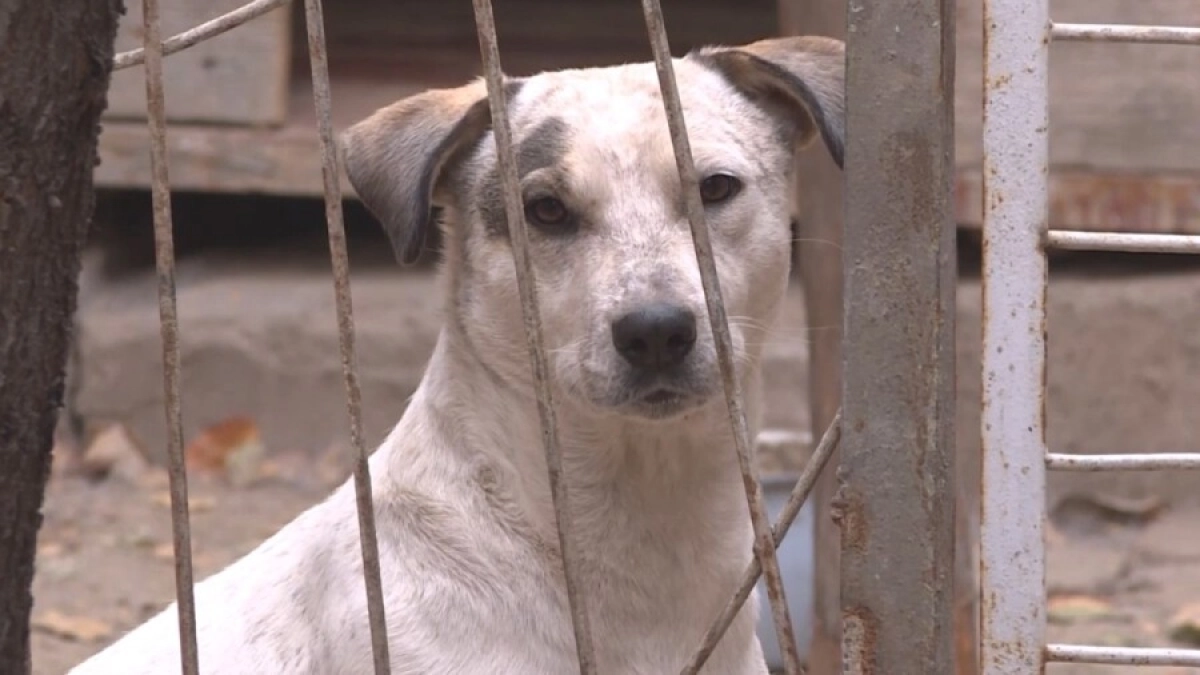 Фото: Настоящее время