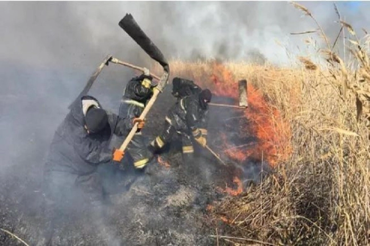 Фото: МЧС РК