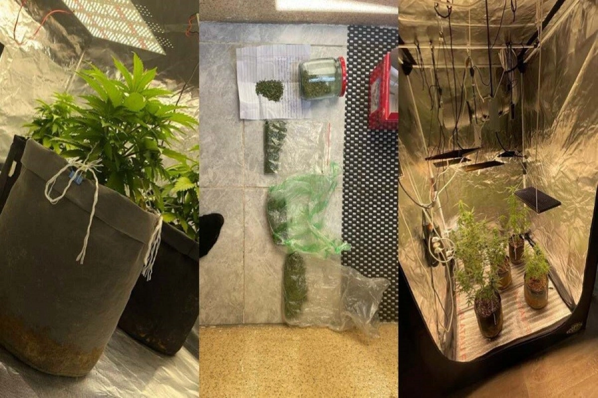 Фото: polisia.kz