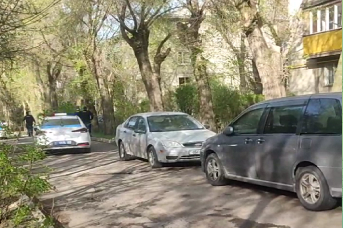 Фото: скриншот видео