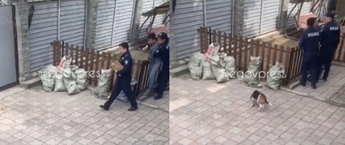 Коллаж: t.me/egovpress