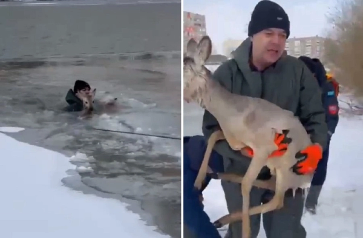 Кадр из видео