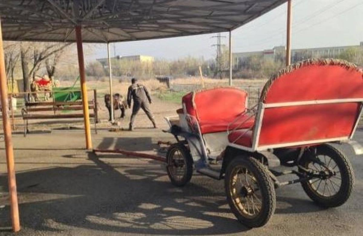 Фото: eKaraganda