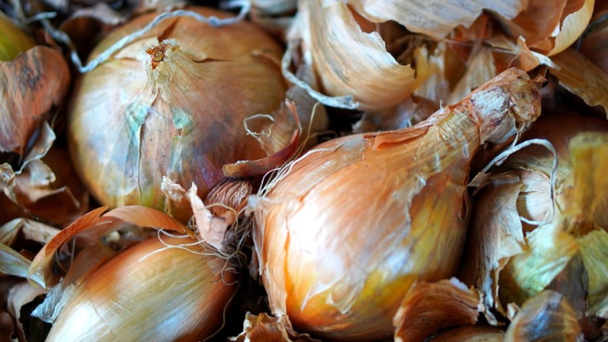 Фото: pixabay.com