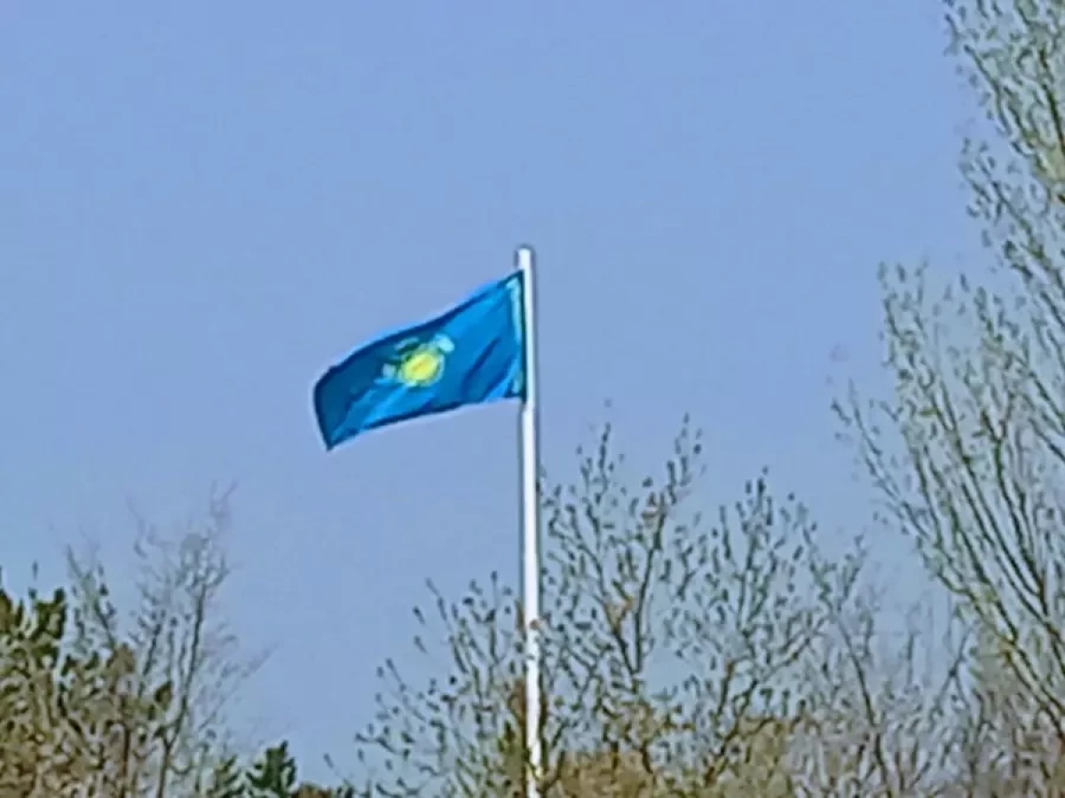 Фото: кадр из видео