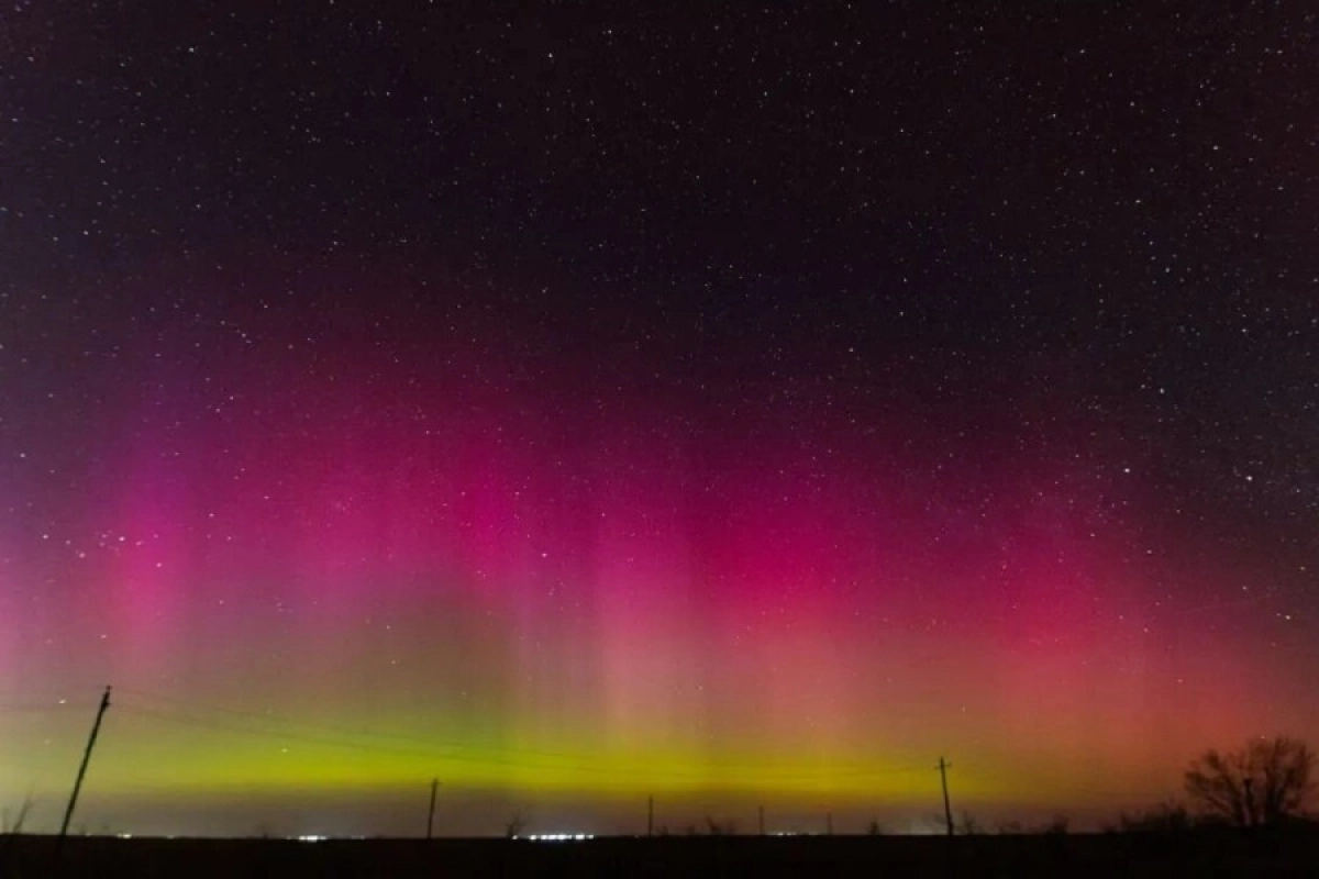 Фото: Андрей Тюшин