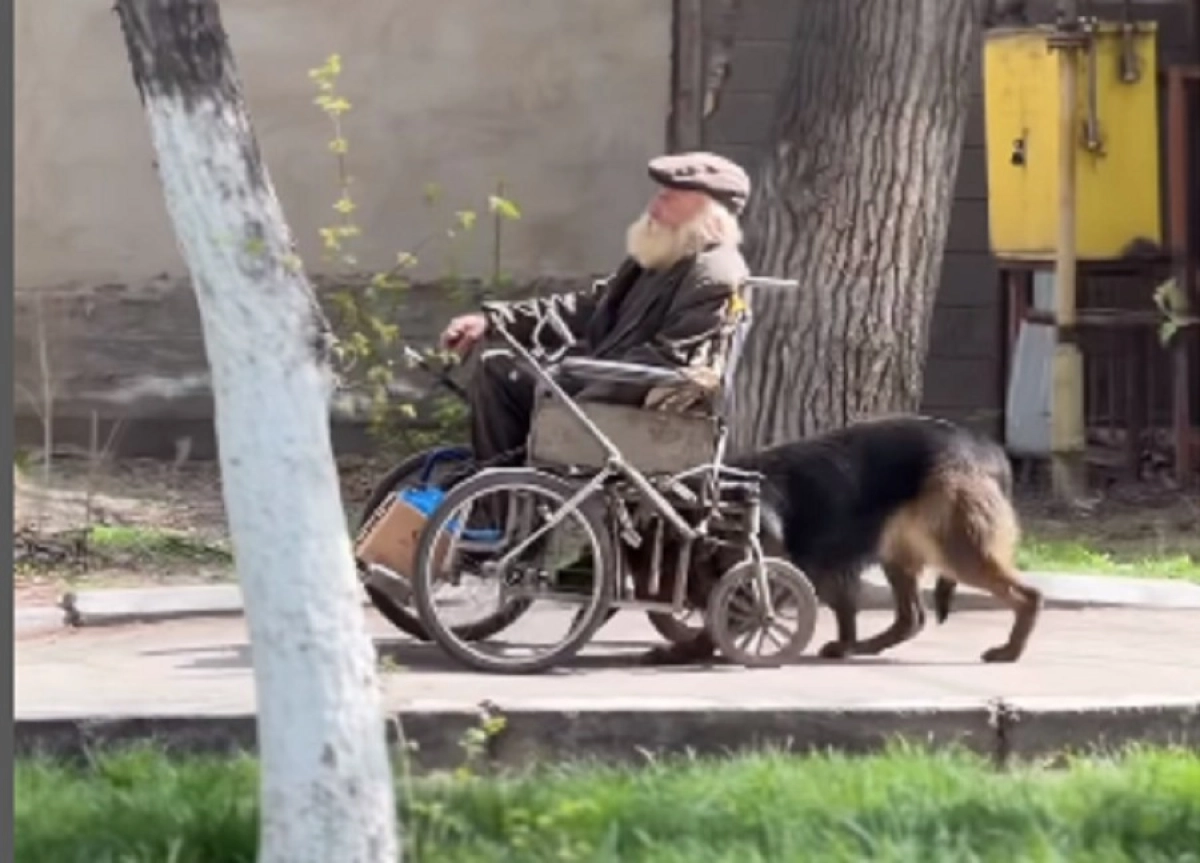 Кадр из видео