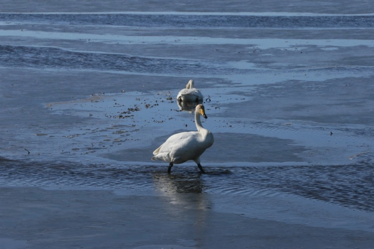 Фото: Сергей Миронов