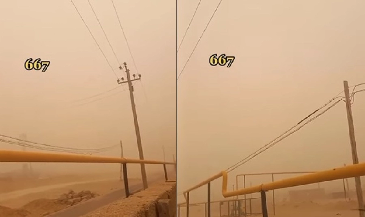 коллаж NewTimes.kz