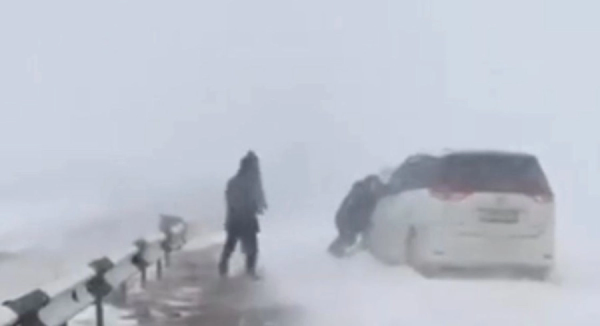 Фото: кадр из видео