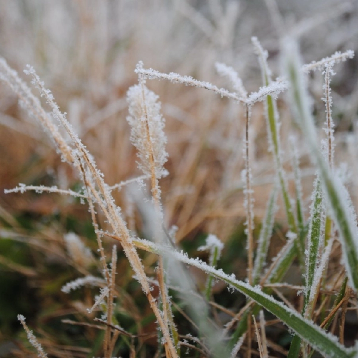 Фото: unsplash.com