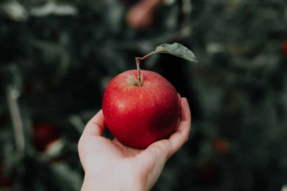 Фото: Unsplash