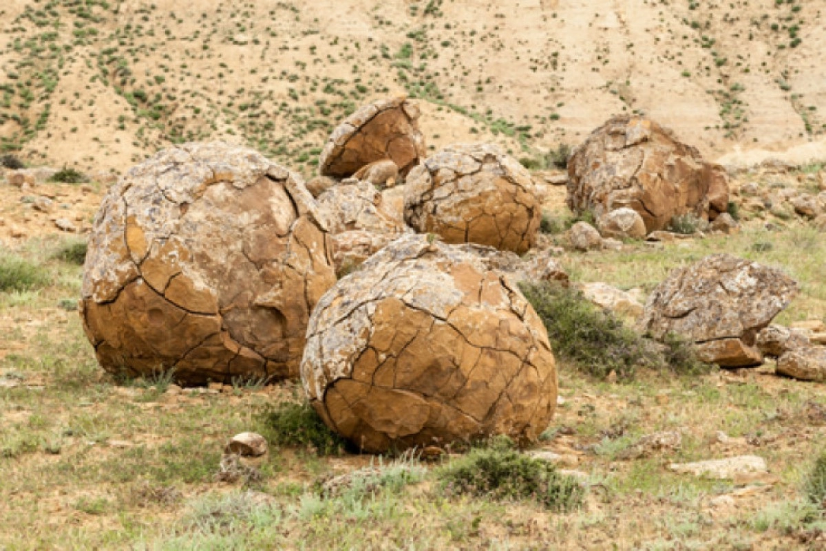 Фото: Shutterstock