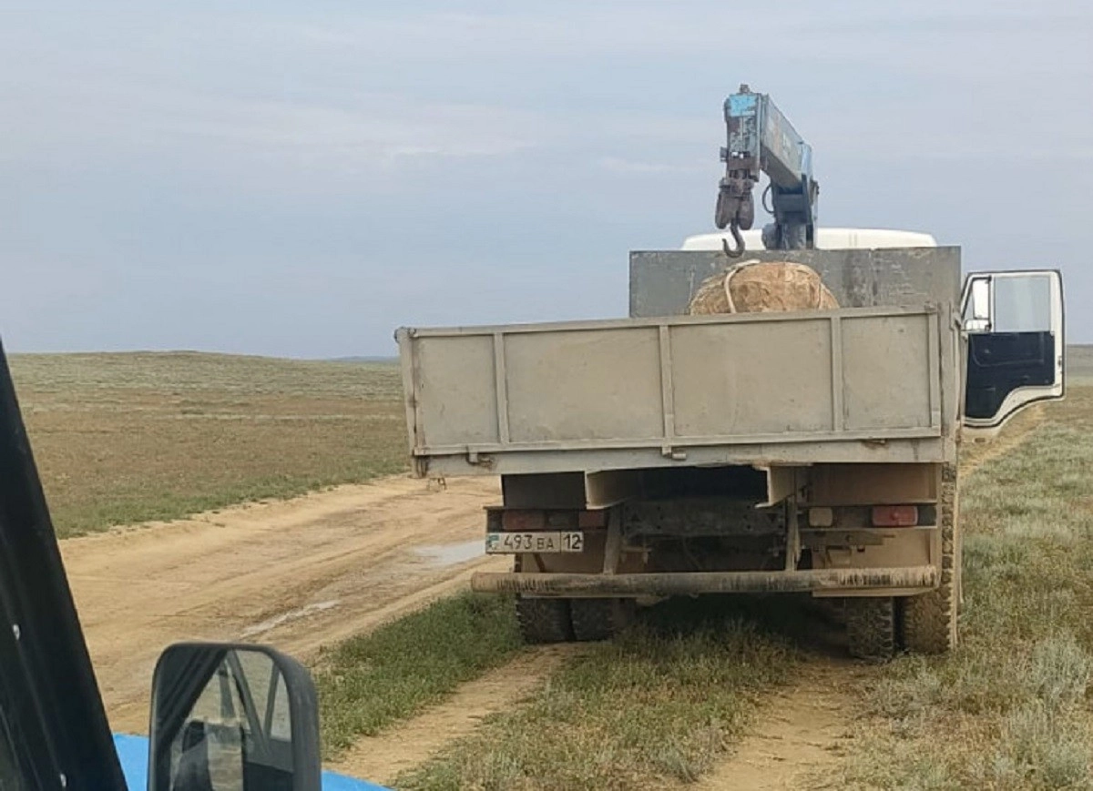 Фото: ДП Мангистауской области