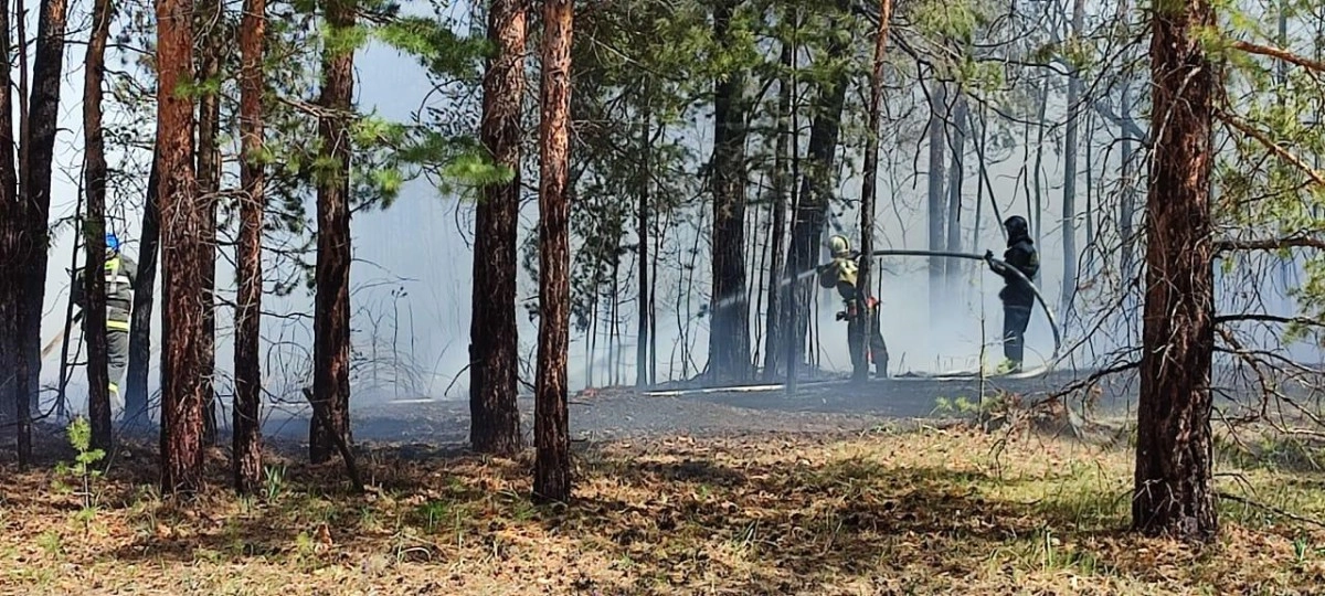 Фото: МЧС РК