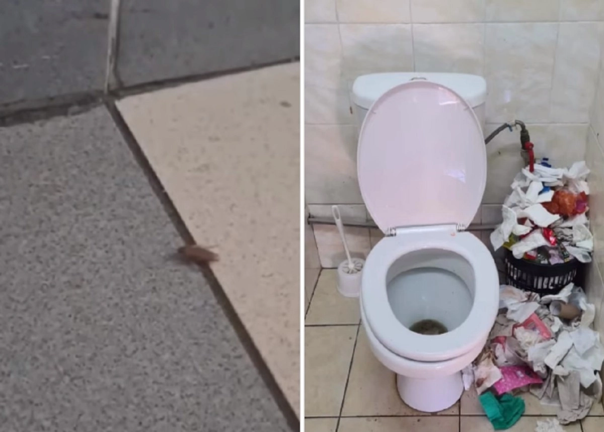 Кадр из видео