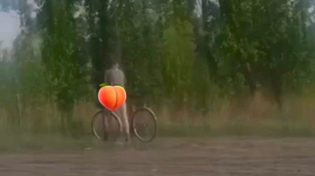 Фото: кадр из видео