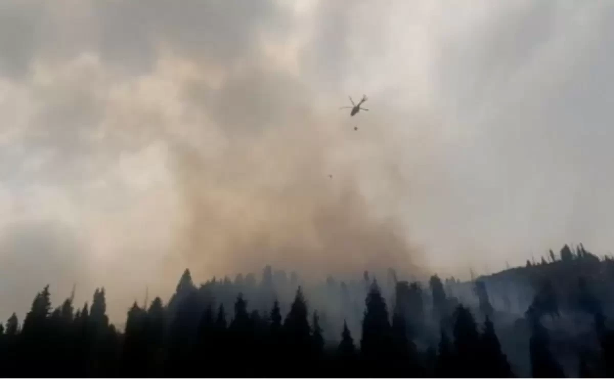 Фото: МЧС РК