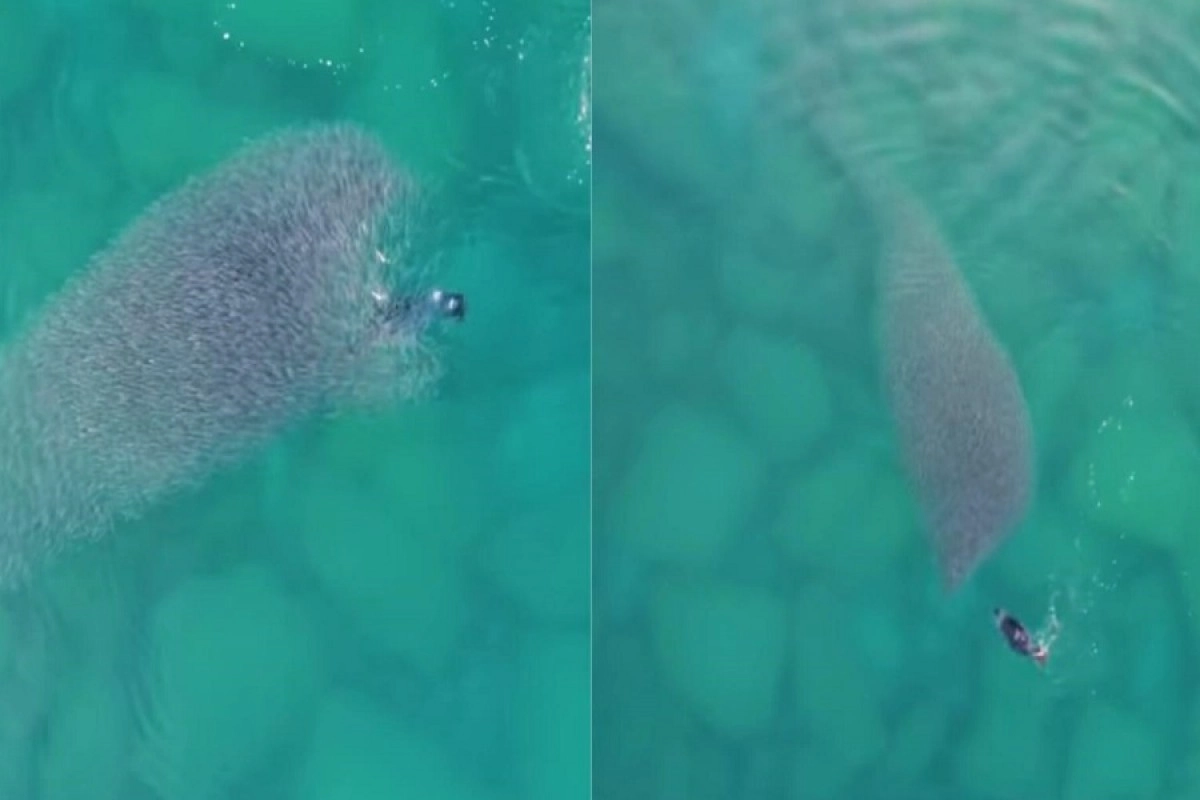 Фото коллаж: ИА «NewTimes.kz»