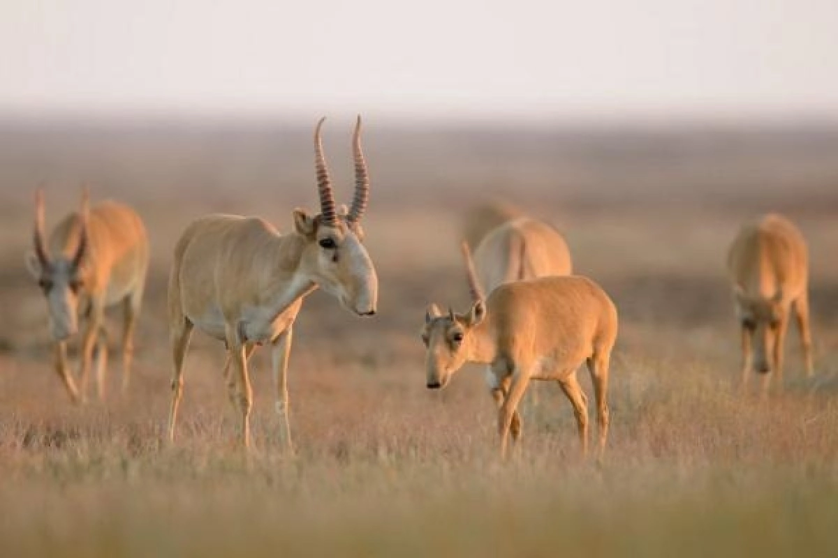 Фото: пресс-служба минэкологии