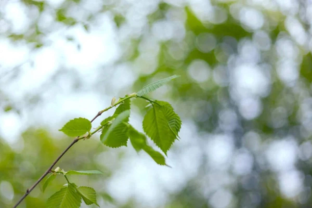 Фото: depositphotos.com