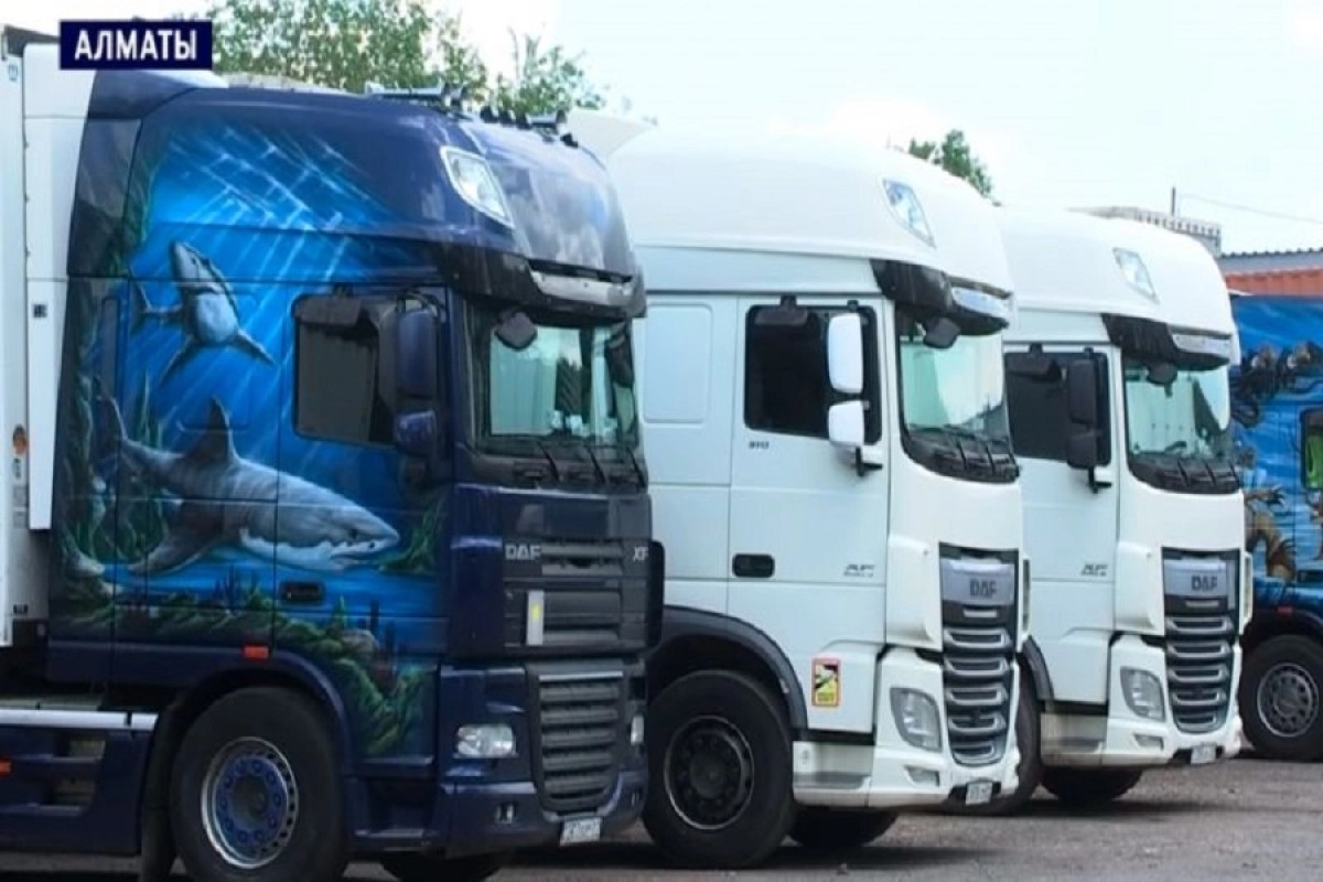 Фото: скриншот видео