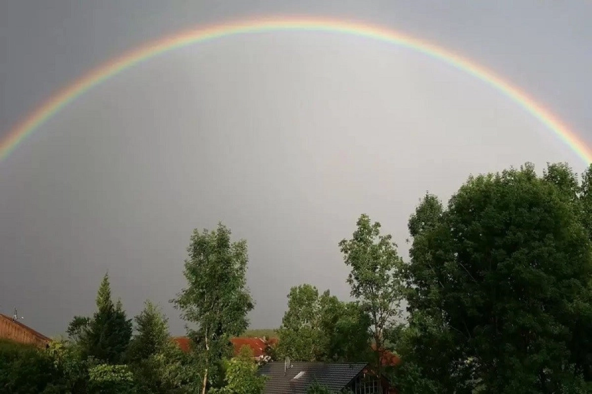 Фото: pixabay.com